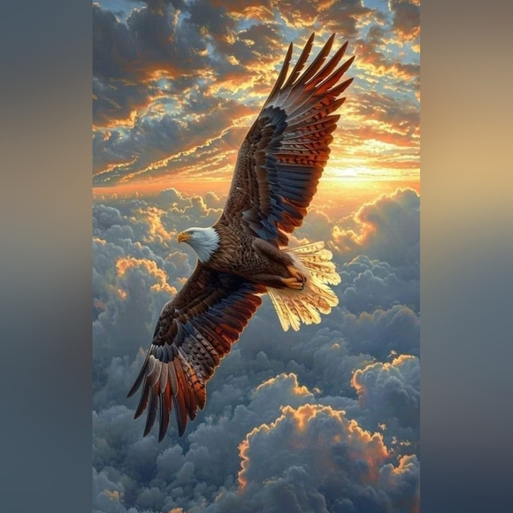 Meet your Posher, Mary - Picture 4 of 4